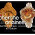 Livret pour le DVD du film "À la recherche des origines". 16 pages - format ouvert 260 x 120 mm - format fermé 180 x 120 mm.