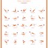 Affiche Pilates L'Alvéole - Niveau 2
Création des 25 illustrations, de la charte graphique et mise en page du document.
Format A3 - 2 couleurs