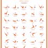 Affiche Pilates L'Alvéole - Niveau 3
Création des 35 illustrations, de la charte graphique et mise en page du document.
Format A3 - 2 couleurs